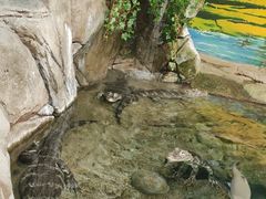 -上海海洋水族馆