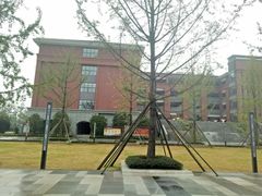 -成都濑川外国语学校