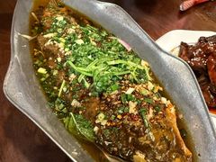树厨炝锅鱼-树厨贵州菜(铜仁花果山店)