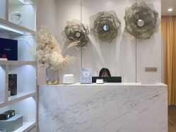 -YESIDO椰岛造型