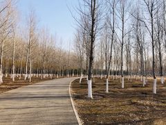 -东郊湿地公园