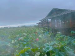 -军山湖云水间生态农业旅游景区