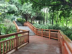 -广东花都湖国家湿地公园