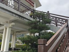 -王借岗森林公园
