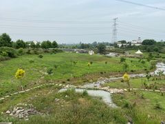 -紫颐香薰山谷景区