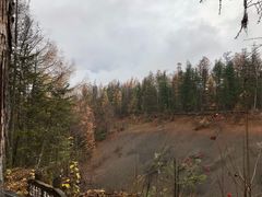 -峡谷浮石林景区