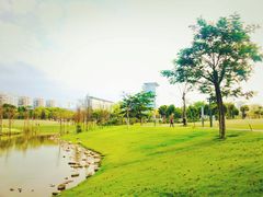 -香蜜公园