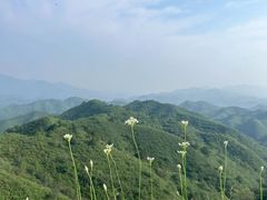 -蟠龙山长城景区