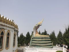 -洛阳白马寺