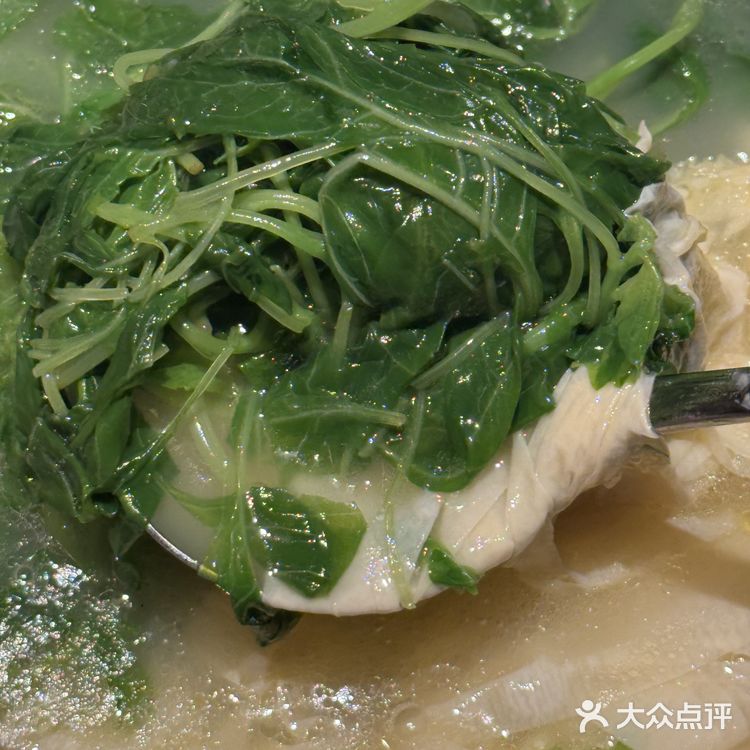 才是最好的仪式感 来上海旅游吃饭太容易踩雷了