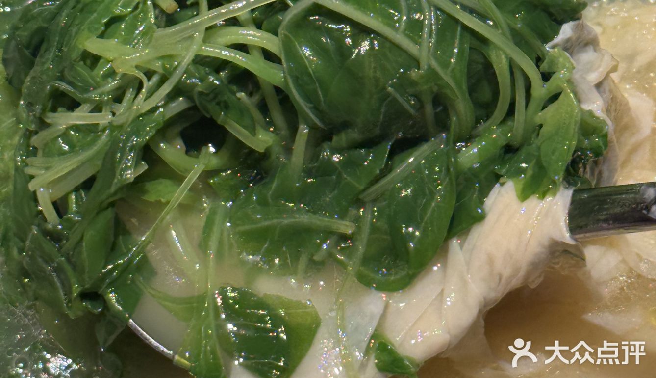 才是最好的仪式感 来上海旅游吃饭太容易踩雷了