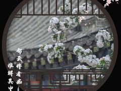 -荣国府