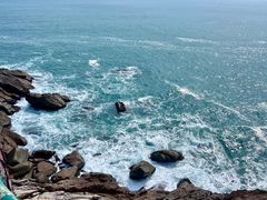 -广东惠东海龟国家级自然保护区