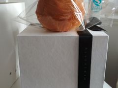 -BLACKSWAN黑天鹅(环球店)