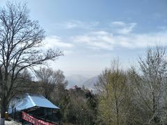 -兰山公园
