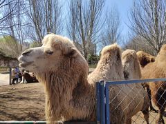 -长白岛森林公园