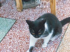 -春涛餐馆(下坝店)