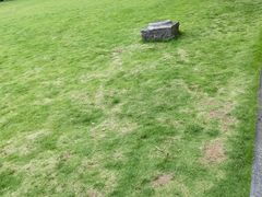-明故宫遗址公园