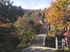 -塔云山