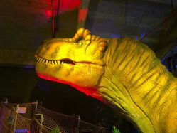 -恐龙探索乐园(磁器口店)