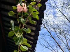 -石湖景区