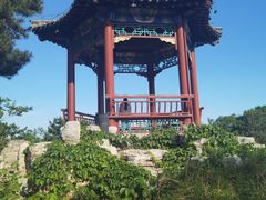 -大兴滨河森林公园