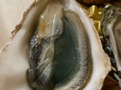 -HIHE Bistro·Oyster Bar(华熙live店)