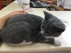 -惠康宠物医院(华能路店)