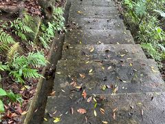 -广州市帽峰山景区