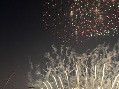 -泰达航母主题公园