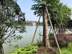 -枫香湖儿童公园