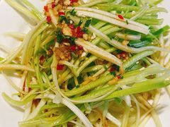 捞汁西葫芦-鼎泰丰(嘉年华•海信广场VILLAGE店)
