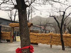 -康陵正德春饼宴26号