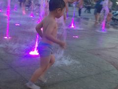 -紫荆广场·花漫里