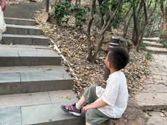 -杭州半山国家森林公园