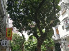-小洲村