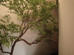 -玖五京菜(杭州城北万象城店)