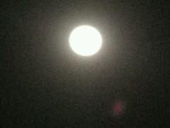 -多福饺·家常菜(谷德店)