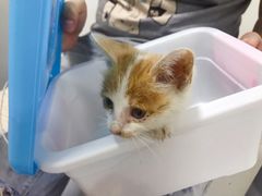 -达爱动物医院·犬猫分区·CT·复杂眼科(远洋山水分院)