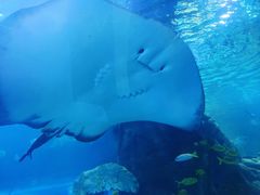 -太平洋海底世界