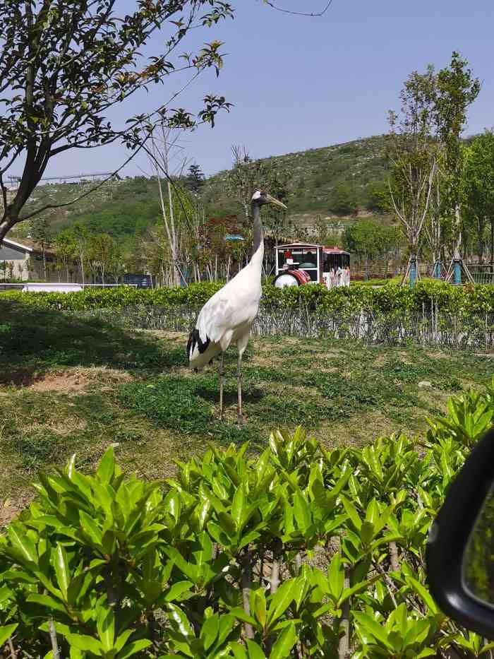 金牛湖野生動物王國