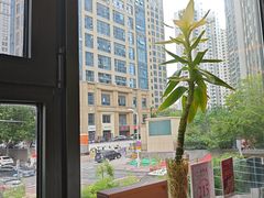 -船家渔(徐州北路店)