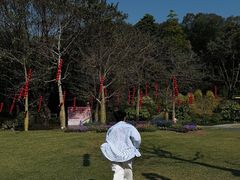 -云溪植物园
