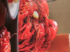 -杨氏青龙虾·羊蝎子(托乐嘉店)