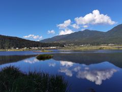 -腾冲北海湿地