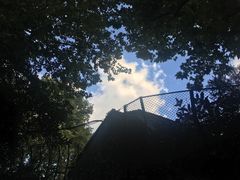 -巴金故居