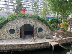 -南宫五洲植物乐园