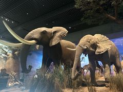 -天津自然博物馆