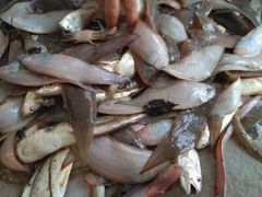 -浪琴湾尾角仔海鲜坊