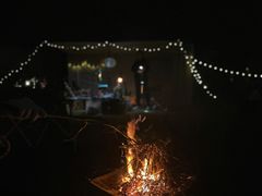 -春花秋色城市公园